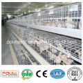 Pullet Netting / Hühnerdraht Mesh / Pullet Farm Cage